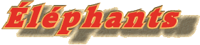Éléphants