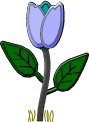 Fleurs