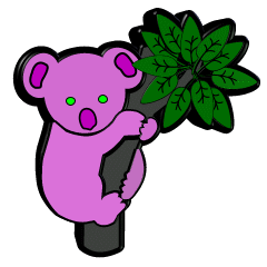 Koalas