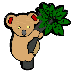 Koalas