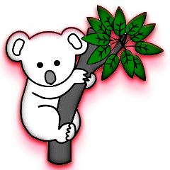 Koalas